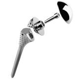 Anatomical Shoulder™ Fracture System