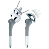 Anatomical Shoulder™ InverseReverse System