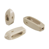 Ardis® Interbody System